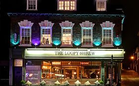 Loopy Shrew Shrewsbury